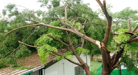 a tree falling on a house and an emergency tree removal service is needed